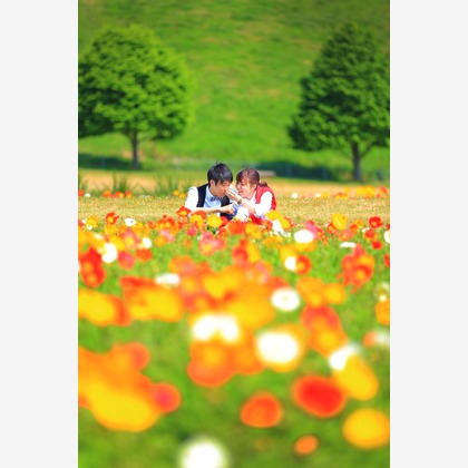 STUDIO Giroux (木下令)が撮影した「:albumName」の写真