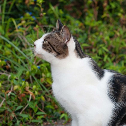 十時写真事務所が撮影したウェディングや家族、ビジネスの写真