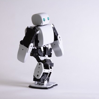 福井麻里が撮影した「:albumName」の写真