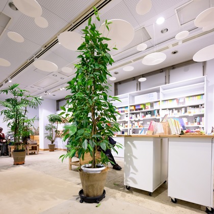 萬代　一樹が撮影した店舗/オフィス/サロン撮影の写真