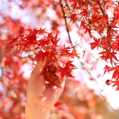 Wedding, Bridal Photos taken by ecoo