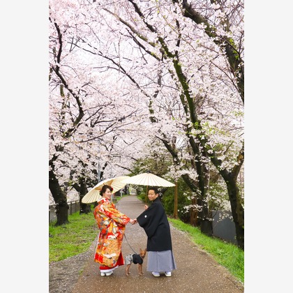 Photo of :albumName taken by Smilehunter