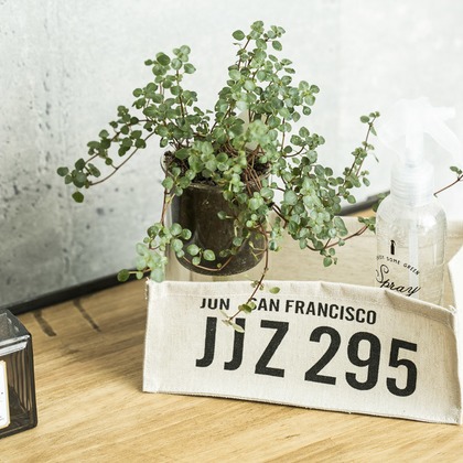 布川航太が撮影した「:albumName」の写真