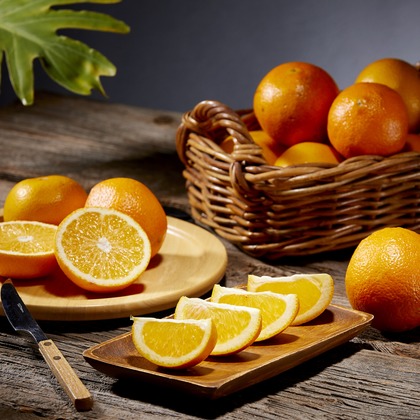 田中真光写真事務所が撮影した「:albumName」の写真