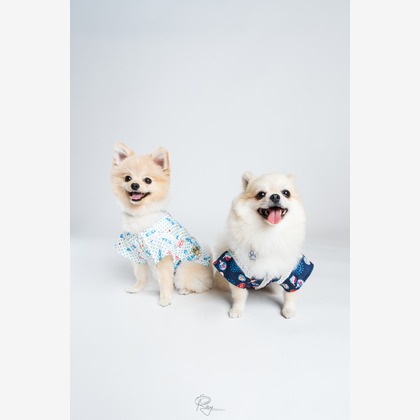 Ray Yamaguchiが撮影した「:albumName」の写真