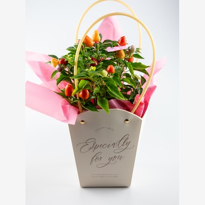 PhotoBaseありよしが撮影した商品/物撮りの写真