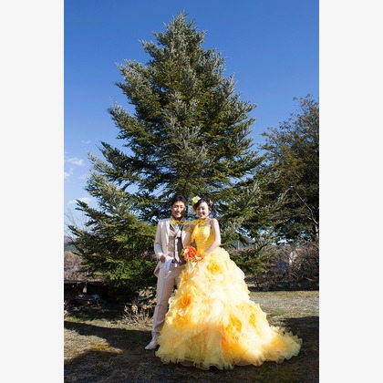 あらじんのらんぷが撮影した「ロケーションフォト」の写真