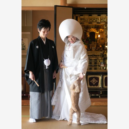 ピュアアーティス(小島 靖雄)が撮影した「:albumName」の写真