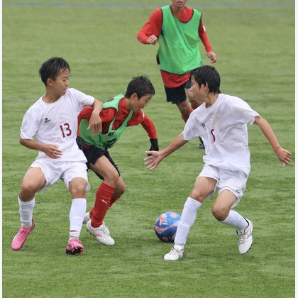 えむあんりみてっどが撮影した「:albumName」の写真