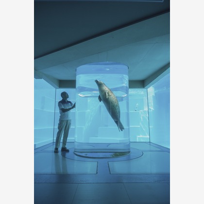 笠井鉄正写真事務所が撮影した「:albumName」の写真