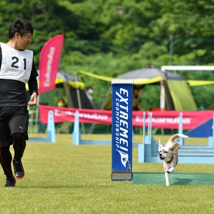 スタジオファンタスが撮影した「:albumName」の写真