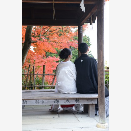 大高景士 (ohtaka photo studio)が撮影したウェディングや家族、ビジネスの写真