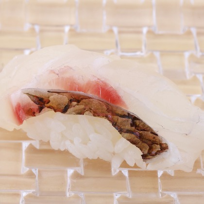 森安　照が撮影した「:albumName」の写真