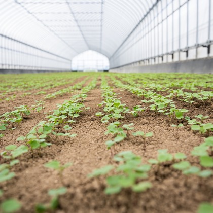 出張撮影TLaboが撮影した店舗/オフィス/サロン撮影/商品/物撮りの写真