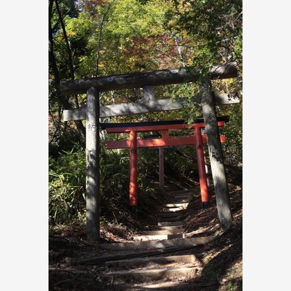 写真屋gonree　阿波根里恵が撮影した旅行先の記念撮影の写真