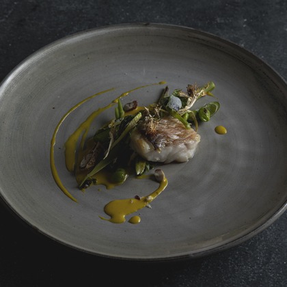 後藤拓海が撮影したウェディングや家族、ビジネスの写真