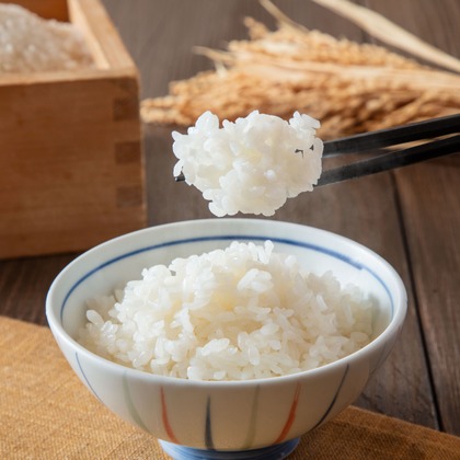 富田桃子写真事務所が撮影した「:albumName」の写真