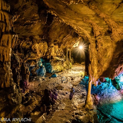 なかむーフォトが撮影したウェディングや家族、ビジネスの写真