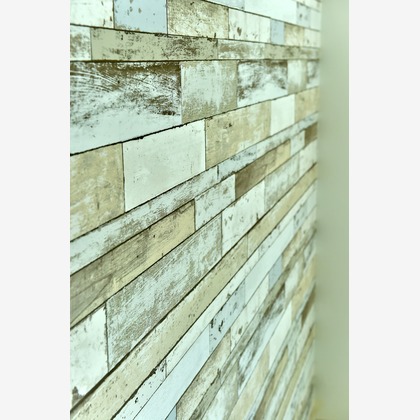 西村フォトサービスが撮影した不動産/竣工の写真