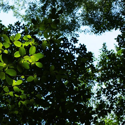 出張撮影のメモリーズが撮影した「:albumName」の写真