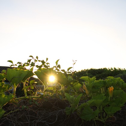 blink photoが撮影したウェディングや家族、ビジネスの写真