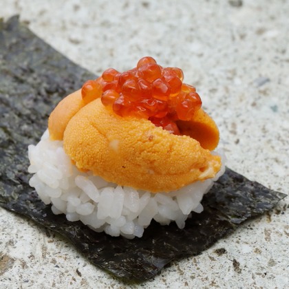 森安　照が撮影した「:albumName」の写真