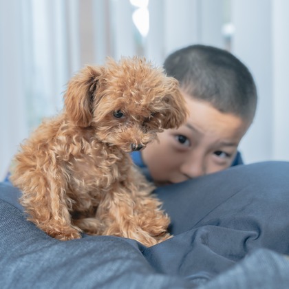 玉城　肇が出張撮影した家族写真(キッズ,ベビーフォト)などが写った「＃」の家族写真