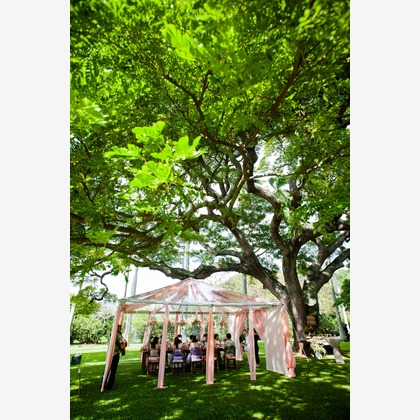 Heritage Bridal Collectionが撮影したウェディングや家族、ビジネスの写真