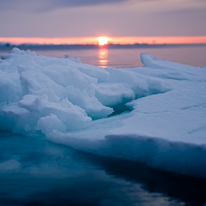 高木勇斗が撮影したその他の写真