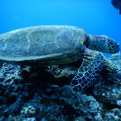 杉野優介が撮影した「:albumName」の写真