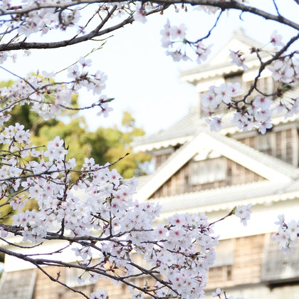 blink photoが撮影したウェディングや家族、ビジネスの写真