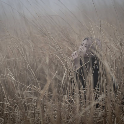 ならもとかずやが撮影した「:albumName」の写真