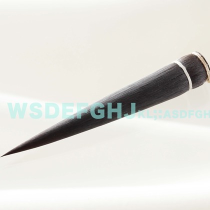 西原毅が撮影した「:albumName」の写真