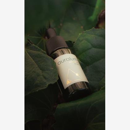 S＆Iが撮影した「:albumName」の写真