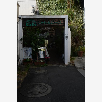 吉田憲明が撮影した「:albumName」の写真
