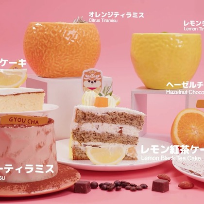 ジョン ソンミンが撮影したウェディングや家族、ビジネスの写真