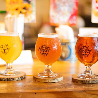 千葉格が撮影した「:albumName」の写真