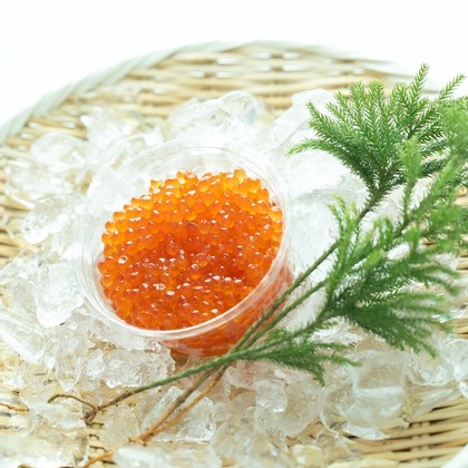 Photography_KanaUが撮影したウェディングや家族、ビジネスの写真