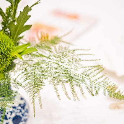 スタジオ11が撮影した「その他」のウェディングフォト - :albumName