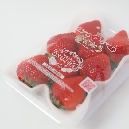 岩坪眞一郎が撮影した商品/物撮りの写真