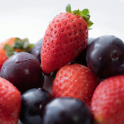 高木勇斗が撮影した「:albumName」の写真