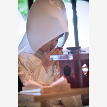 NINA Primary Pictures (苅谷 直樹)が撮影した「:albumName」の写真