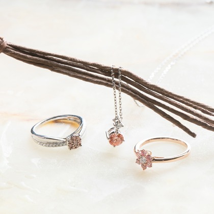 山口　竜が撮影した商品/物撮りの写真