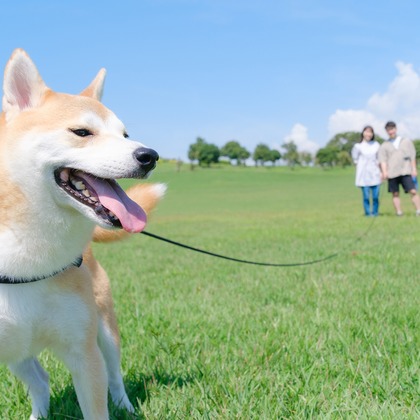 Photo of couple photo shoot taken by 高夏写真店