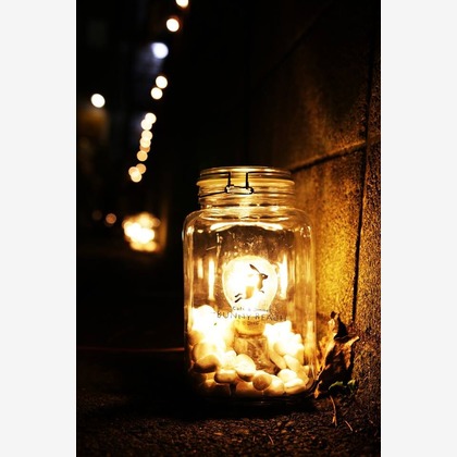 イトウ　ノブミチが撮影した「:albumName」の写真