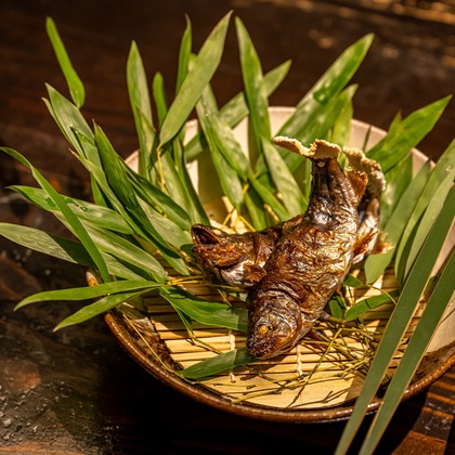 吉田佳央が撮影した「:albumName」の写真