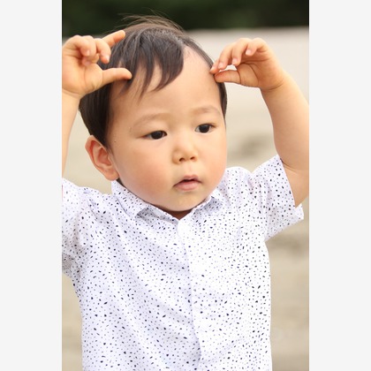 今井写真事務所　今井　良が撮影した「:albumName」の写真