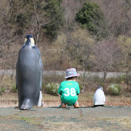 眞田 厚司が出張撮影したペンギン, スポーツグループ, イヌ科などが写った「家族写真・子供写真」の家族写真