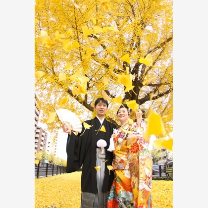 Photo of :albumName taken by Smilehunter