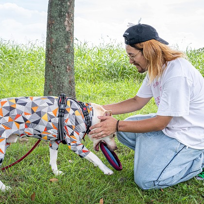 吉田佳央が撮影した「DOG SHOOTING」の写真